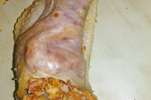Naplněné křidélko