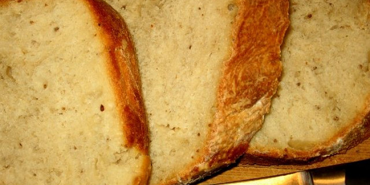 Bramborový chleba III. (Bramborovy  chleba  III.)