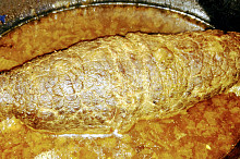 Upečeno