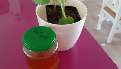 Sirup z rýmovníku