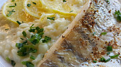 Citrónový candát filet s krémovým risottem (Citrónový candát filet s krémovým rissotem)