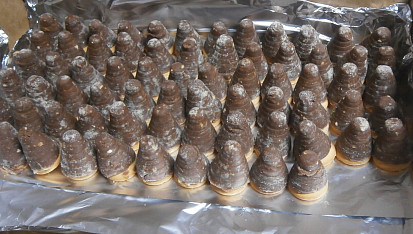 Vosí hnízda - poctivý recept, hotové, čekají v chladu