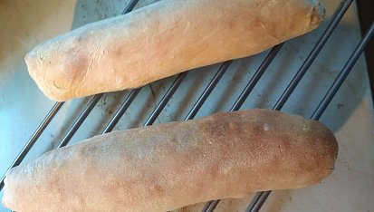 Ciabatta (s prefermentem)