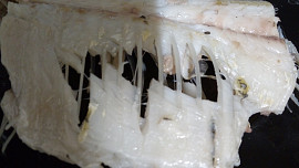 Rybí salát z cejnů