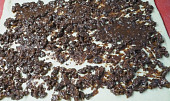 Kynutý závin s ořechy a čokoládou - z formy