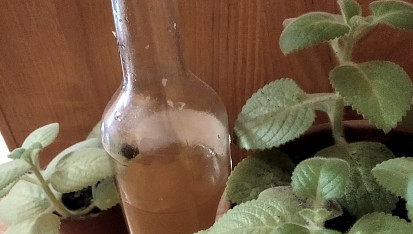 Rýmovníkový sirup