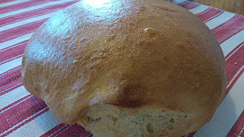 Chléb s pâte fermentée
