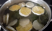 Rýmovníkový sirup s citronem (Rýmovník)