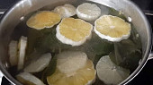 Rýmovníkový sirup s citronem (Rýmovník)