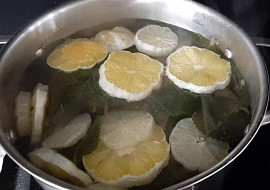 Rýmovníkový sirup s citronem