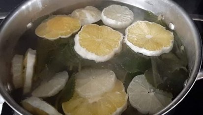 Rýmovníkový sirup s citronem, Rýmovník