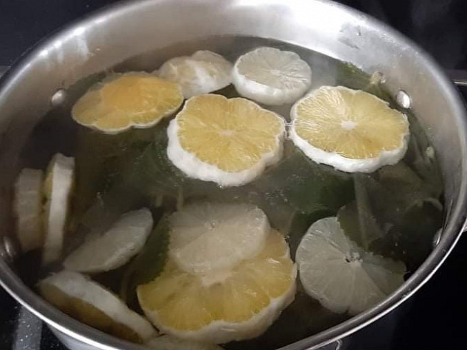 Rýmovníkový sirup s citronem, Rýmovník