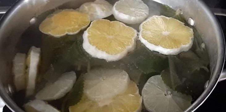 Rýmovníkový sirup s citronem (Rýmovník)