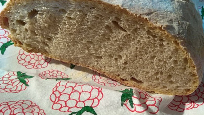 Staré těsto – old dough – pâte fermentée