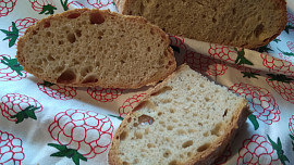 Chléb s pâte fermentée