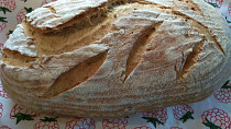Slunečnicový chléb se starým těstem