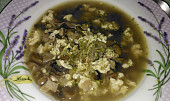 Žampionová polévka Rohule (Je výborná, chutná skoro jako masová polévka.)