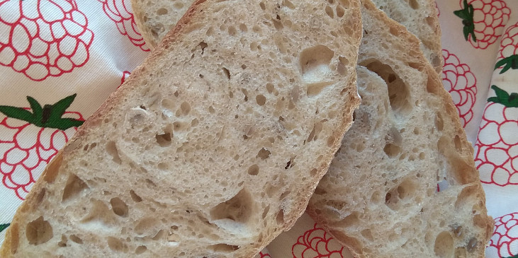 Denní chléb