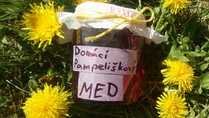 Domácí pampeliškový med