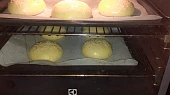 Housky na hamburger
