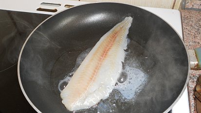 Filet na víně-DIA verze