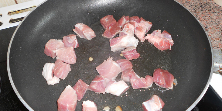 Vepřové ragú po selsku-DIA (maso osmahneme na slanině)