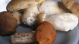 Myslivecká směs s hříbky