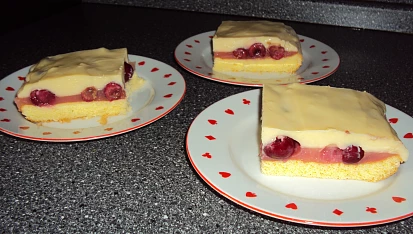 Řezy s třešněmi /višněmi