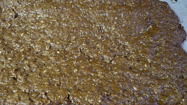 Light vločkové řezy bez vajec