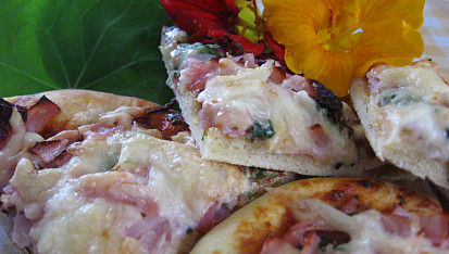 Antibiotická pizza