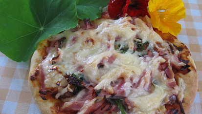 Antibiotická pizza