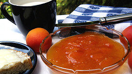 Meruňkový džem z DP