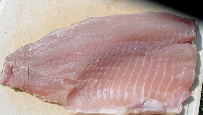Kapří filet na grilu