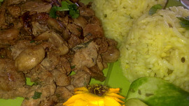 Krůtí  kari nudličky na žampionech s rýží