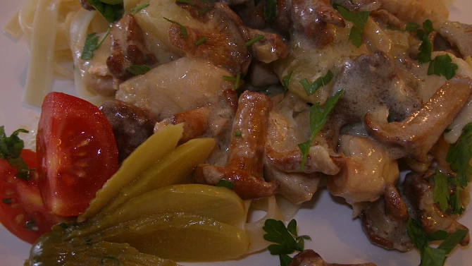 Kuřecí ragú s liškami a kyselými okurkami
