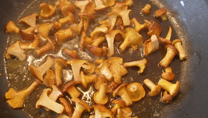 Kuřecí steak na rozmarýnu s liškami