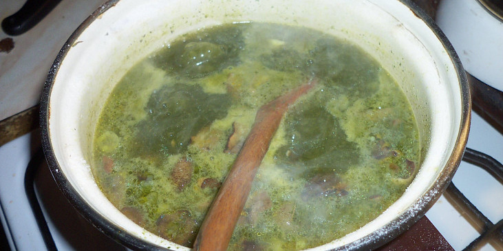 Nudlová špenátovo uzená polévka s houbami (vaříme...)