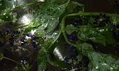 Levandulovo - mátový sirup