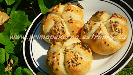 Máslové raženky (bulky)
