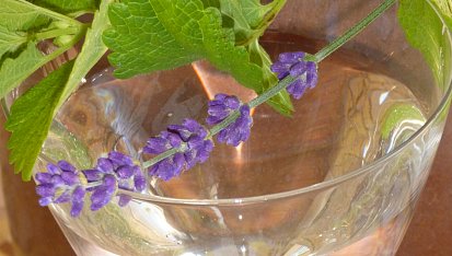 Sirup meduňkový, mátový, levandulový - podle mne