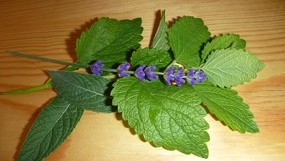 Sirup meduňkový, mátový, levandulový - podle mne