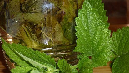 Sirup meduňkový, mátový, levandulový - podle mne