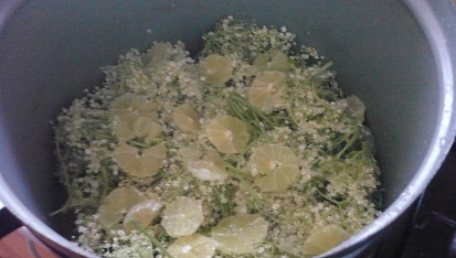 Bezinková šťáva z květů, Bezinky prosypané kyselinou citr.a s citrony