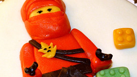 Dort Lego Ninja