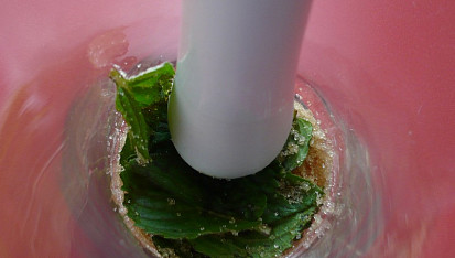 Mojito s grepovým džusem