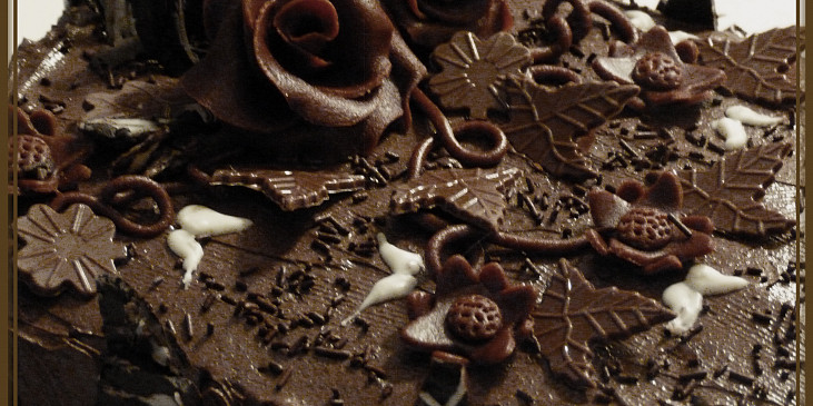 Čokoládovo-kakaový dort