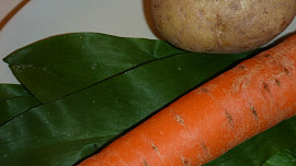 Bramborová kaše s mrkví a medvědím česnekem