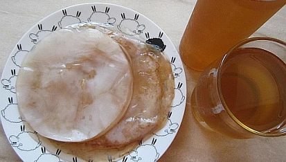 Kombucha