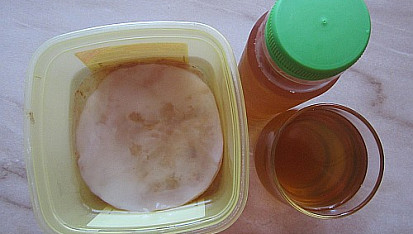 Kombucha, kombucha a hotový nápoj
