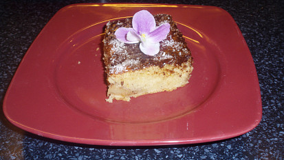 Jablečný koláč (hřbet)
